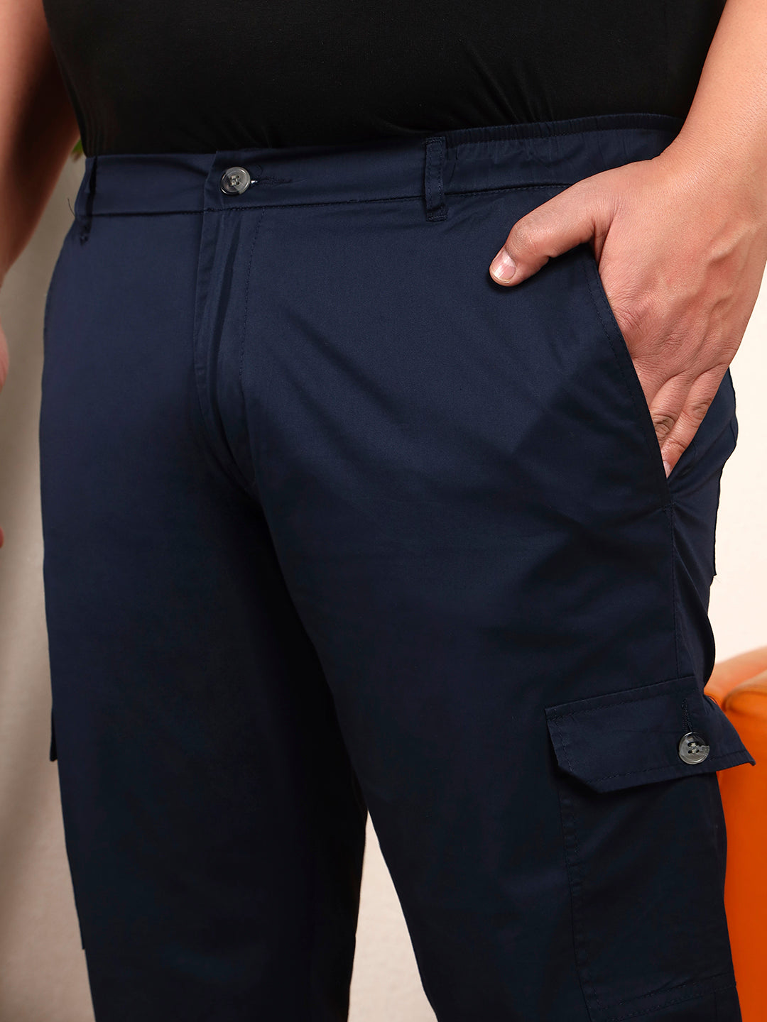 AER CARGO PLUS | Indigo